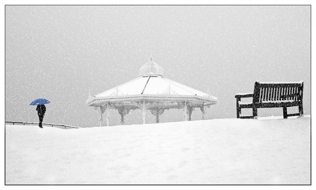Winter Pavilion