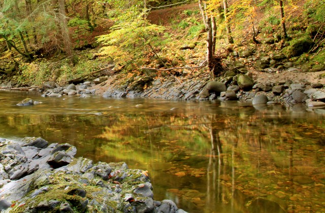 River Tilt autumn reflections