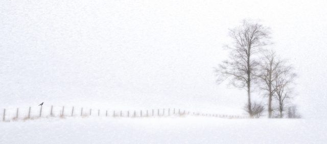 05_Snow Fence.jpg